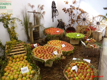 exhibition - exhibition, fruit, decorations, vegetables, still life