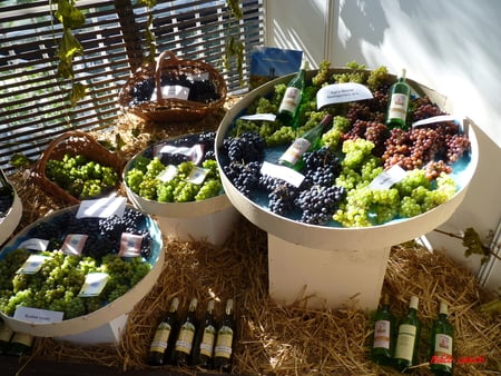 decoration - decoration, still life exhibition, glasses, grapes