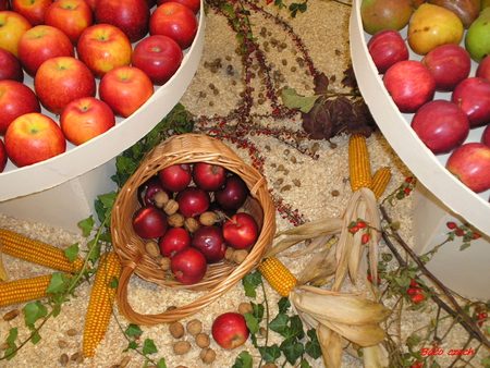 decorations - cart, exhibition, still life, fruit