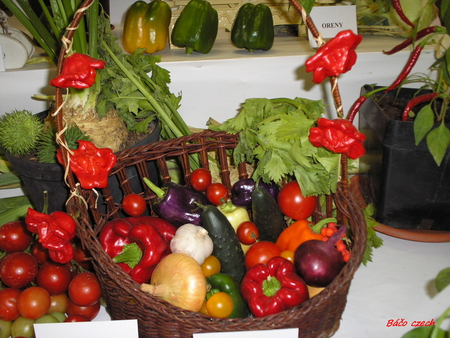 decorations - exhibition, fruit, decorations, vegetables, still life