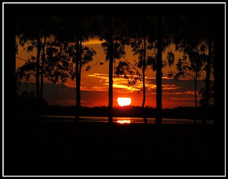 sunset - beaches, sunset, sea, woods