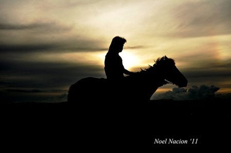 thinking - resting, in the evening, thinking, and riding horse