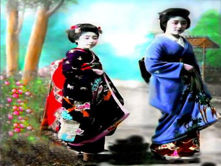 Geisha - geisha, traditon, ancient, japan