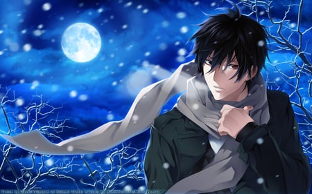 Winter Night - moon, anime, winter, saito yakumo, beautiful, night, handsome, scarf, cold