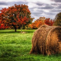 Autumn-HDR