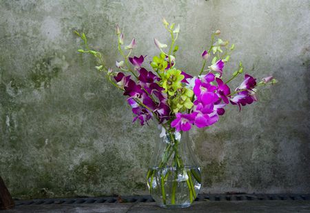 Orchids - photo, flowers, purple, exotic, vase, water, beautiful, photography, moss, beauty, still life, bouquet, nature, green, arrangement, orchids, glass