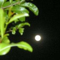 Full moon march 19,2011