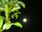 Full moon march 19,2011