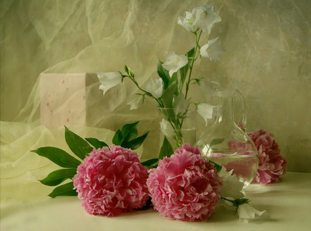 Lovely - peonies, pitcher, box, gauze fabric, flowers, still life, vase