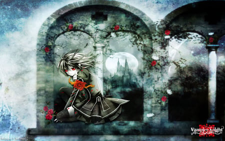 Dark Vampire - moon, fog, castel, rose, yuuki kurosu, vampire knight