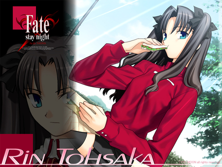 Tohsaka Rin - clothes, game, anime, sandwich, mini skirt, rin, black, novel, red, eating, date, fate stay night, park