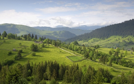 nature47 - nature, fields, green, trees