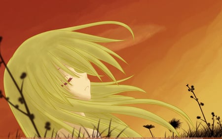 The Way It Used To Be - vector, naa, omamori himari, field, sunset, himari, painted, grass, manga