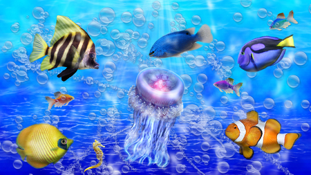 Ocean in Color - ocean, beautiful, water, fish, colorful, jelly fish