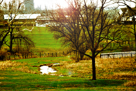 Kentucky Spring Creek - kentucky, cool, creek, spring, warm, country, grass, farm, bright, fence, nice, tree, day, green