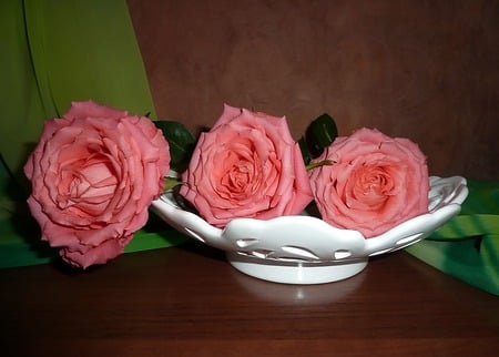 Roses - flowers, pretty, roses, beautiful, colors, still life