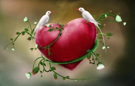 Love Birds - bird, birds, heart, beautiful, dove, romance, love, flower, doves, flowers