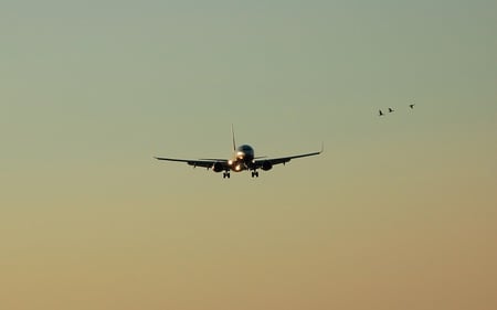 Boeing landing - aircraft, landing, airliner, commercial, dusk