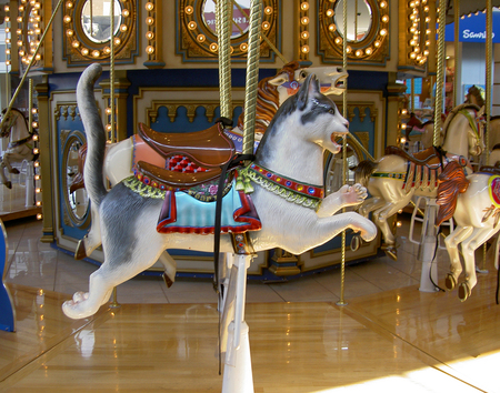 Carousel~Cat - amusement park, carousel, ride, cat