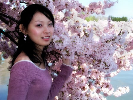 Beautiful Spring Cherry Blossoms, Japan - blossoms, japan, beautiful, spring, japanese, woman, cherry tree