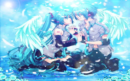 Touch My Angel - touch, star, water drop, feather, angel, hatsune miku, fall, miku, cloud sky, rose