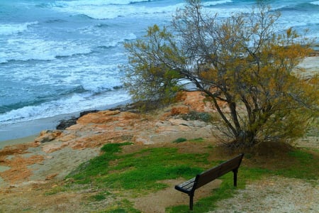 The View - beach, ocean, grass, sand, bench, view, tree, sea, nature, waves