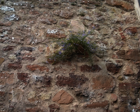 ancient wall - architecture, ancient, castle, wall