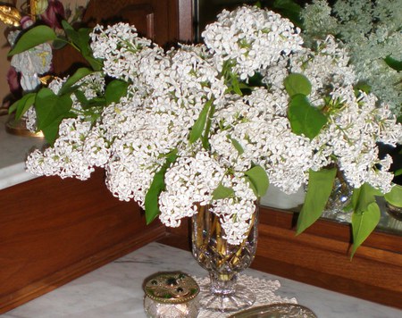 still life - white, beautiful, vase, still life, lilacs