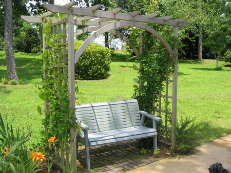 The Bench - arbor, bench, garden, beautiful