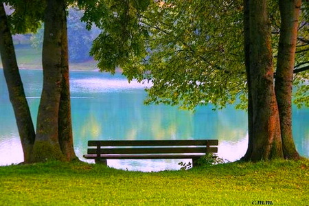 A place to ponder - trees, blue water, summer, bench, lake, peaceful