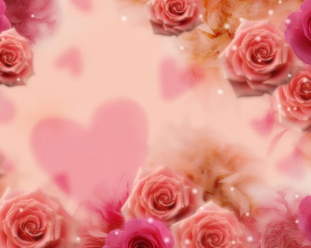 Tenderness - roses, tenderness, heart, beauty, feather, pink