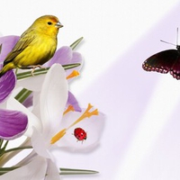 Purple Flowers Yellow Bird