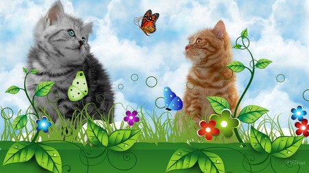 Watching Butterfly - clouds, summer, lawn, spring, grass, firefox persona, flowers, kittens, dew, butterfly, cats, sky, kitty