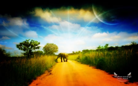 Elephants never forget - elephants