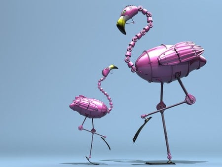 flamingo - flamingo