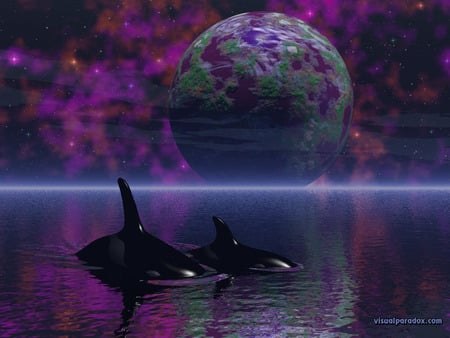 killer whales - ocean, art, abstract, beautiful, digital, whales, fantasy, earth