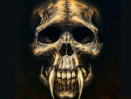 Skull - abstract, fantasy, skeleton, 3d, dark, skull