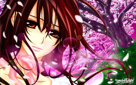 Yuuki Kurosu - yuuki, anime, cherry blossom, girl, spring, kurosu, vampire knight