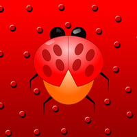 Lady Bug