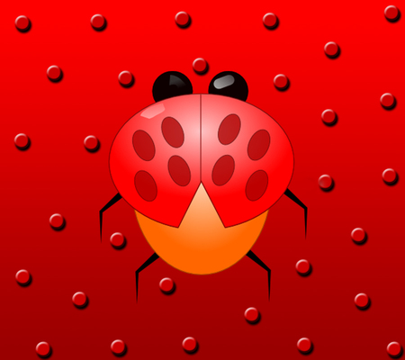 Lady Bug