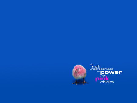 Power of Pink Chicks - of, pink, chicks, power, 1024, 768