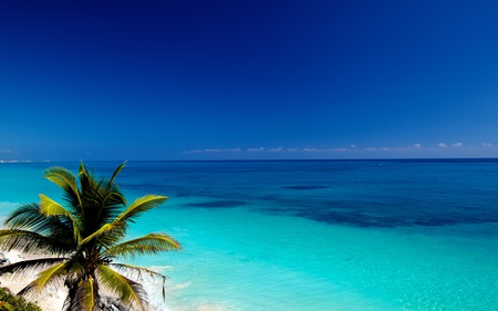 A Yucatan Paradise - beaches, ocean, sky, distant, palm, nature, clouds, blue, beautiful, tree, colors, sand