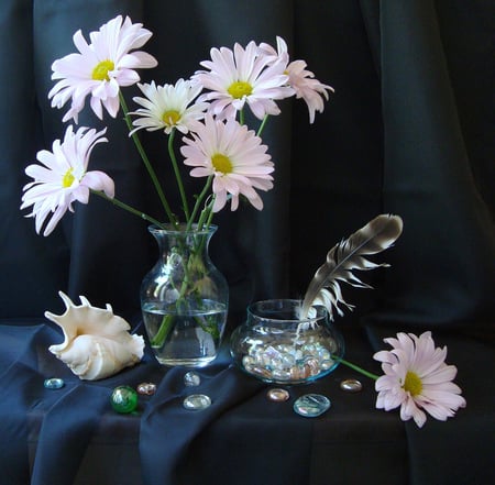 Follow That Dream - flowers, vase, seashell, beautiful, feather, perls, pink, still life