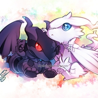 chibi zerkom and reshiram