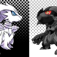 reshiram and zerkom