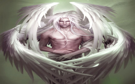 The Angel - male, jademan, wings, angel, sexy, white hair