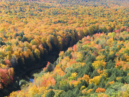 Magic of Autumn - trees, yellow, colour, orange, tree, fall, river, season, autumn, red, green