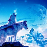 Blue Wolves Blue Sky