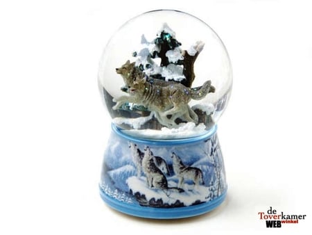 The magic store - nature, art, snow, magic, wolfs