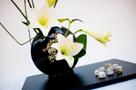 Still life - abstract, beautiful, photography, table, beauty, photo, still life, shadow, lily, black, white, arrangement, plants, ikebana, floral